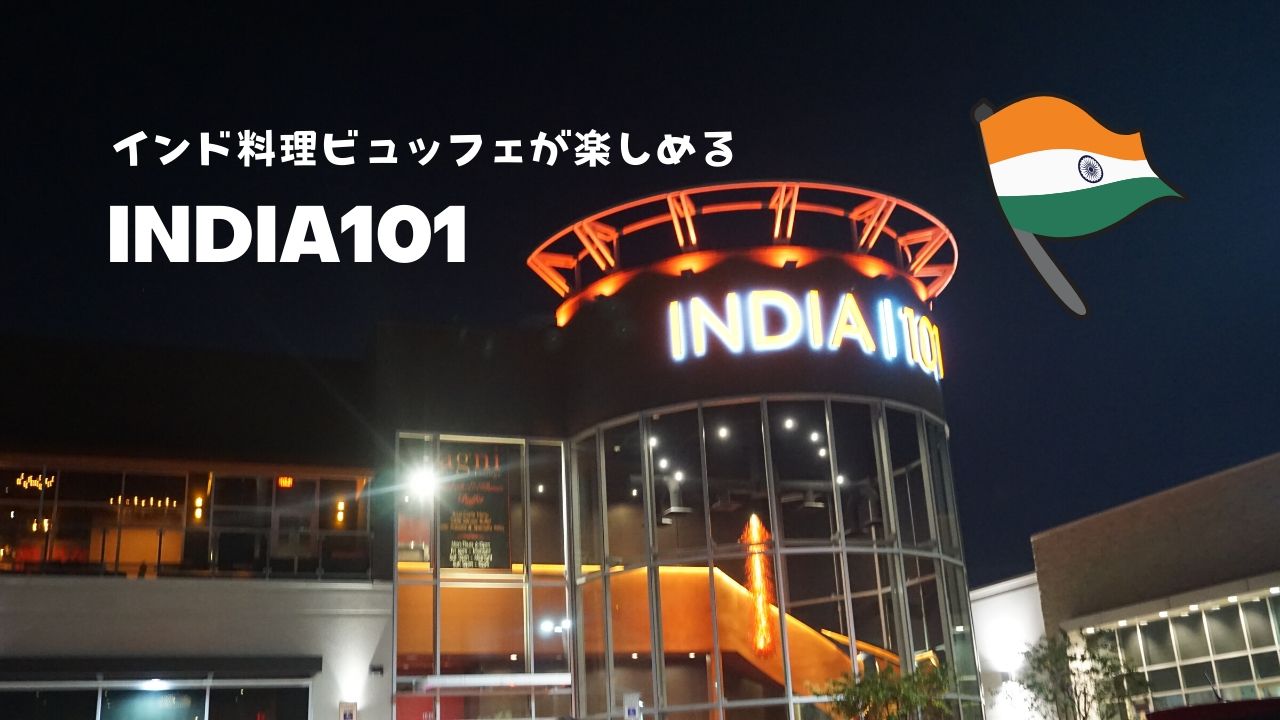 インドカレー ナン食べ放題 India 101 Excuse Me Dallas