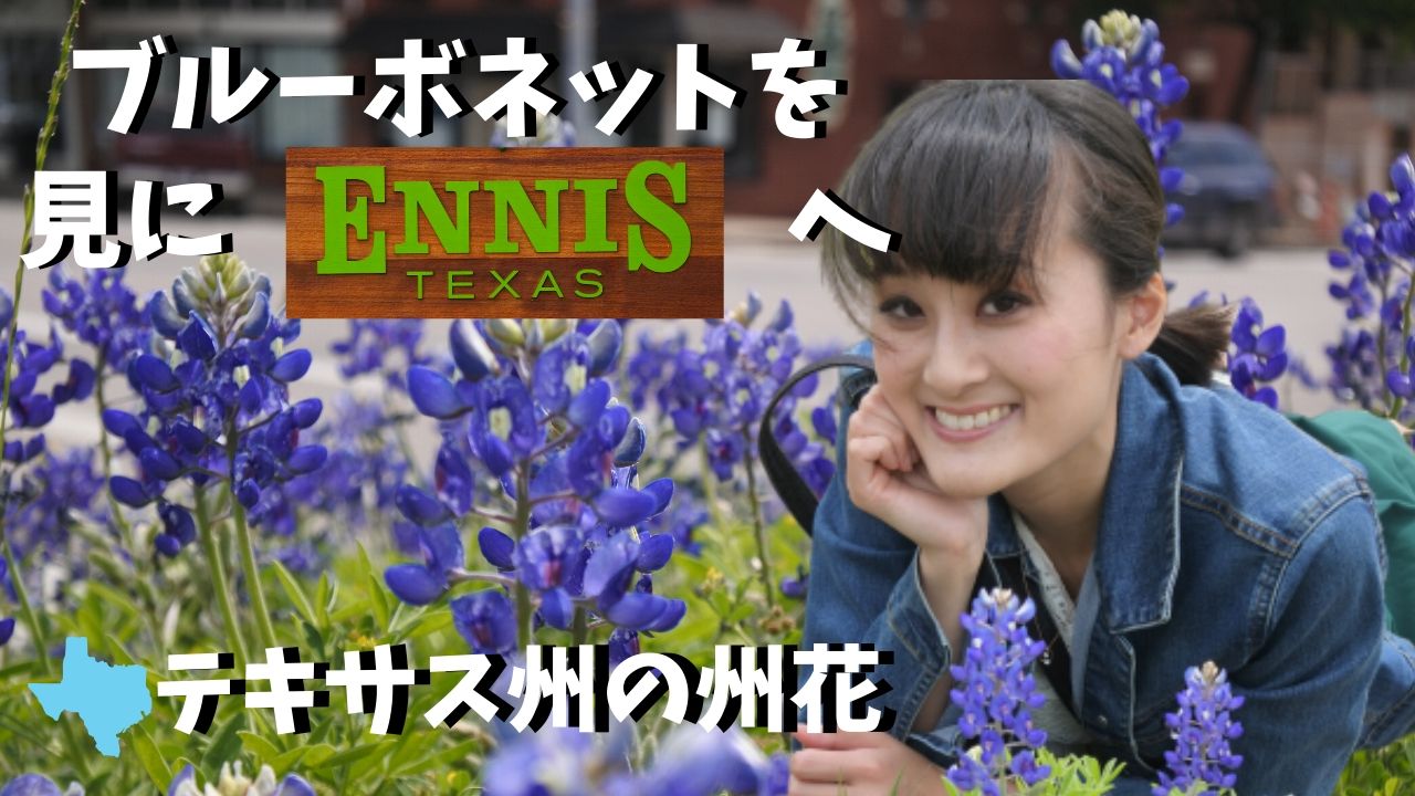 テキサスの州花 ブルーボネット を見にエニスに行きました Excuse Me Dallas